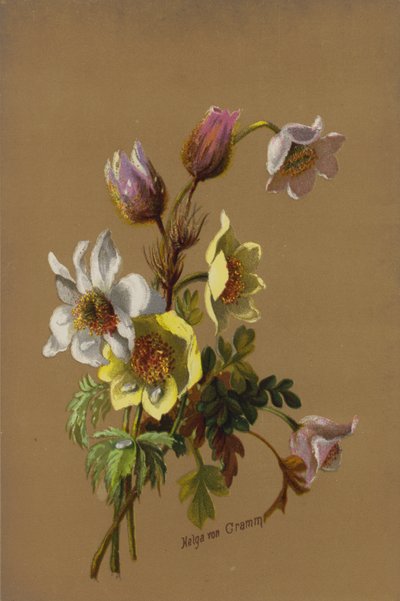 Auringonsäde ja kastepisara tekijältä Helga von Cramm